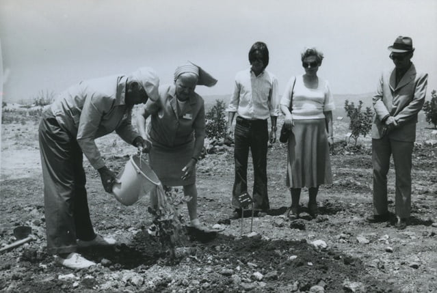 Cérémonie à Jérusalem Plantation de l'arbre à Yad Vashem