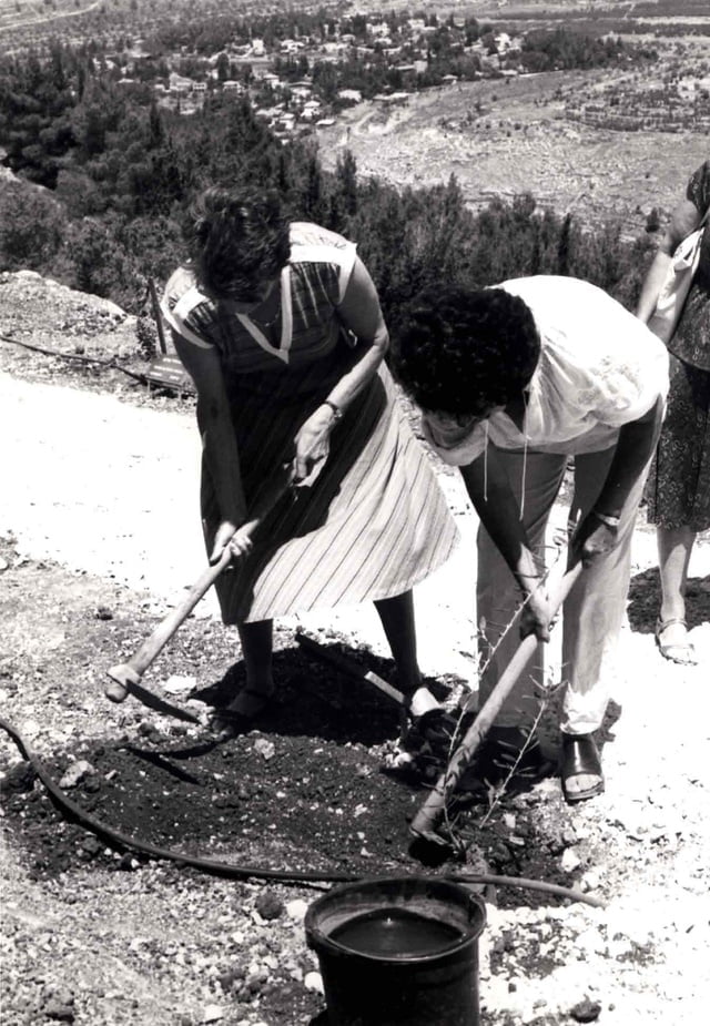 Marie SAGNIER (à gauche) plante un arbre dans l'allée des Justes en 1984