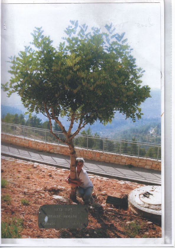 L'arbre planté en 2005
