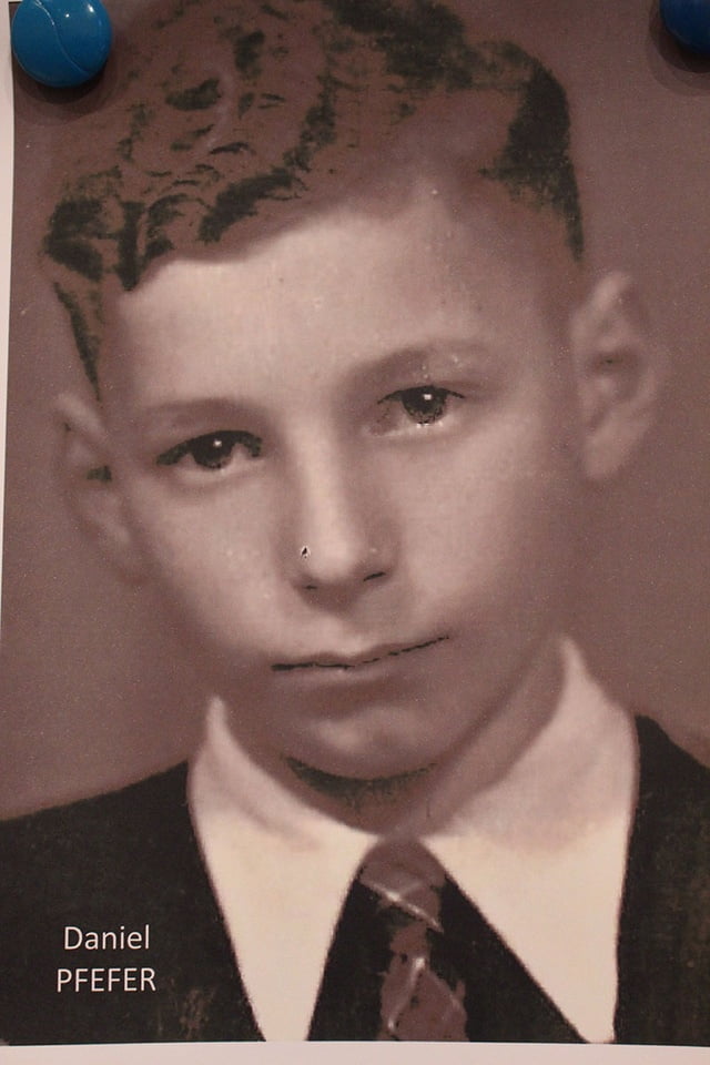 Daniel Pfefer 