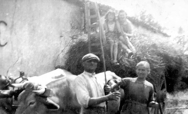 Monsieur Mogier ouvrier agricole et Marthe sur la charette de foin Marcelle G et Louise B devant 