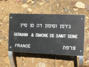 Plaque devant l'arbre