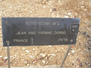 Plaque de l'arbre des Dorso