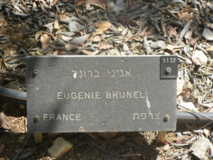 Plaque Brunel devant son arbre
