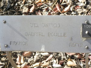 laque devant l'arbre