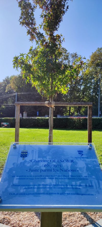 Arbre et plaque Luzancy