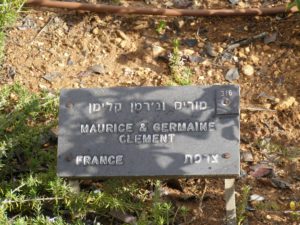 Plaque devant l'arbre