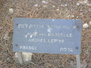 Plaque devant l'arbre