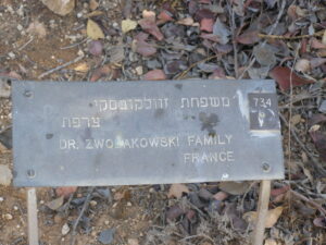 Plaque devant l'arbre