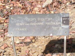 Plaque Ribouleau