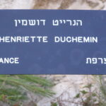 Plaque devant l'arbre